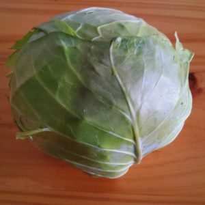 Organic Cabbage from the Garden Route